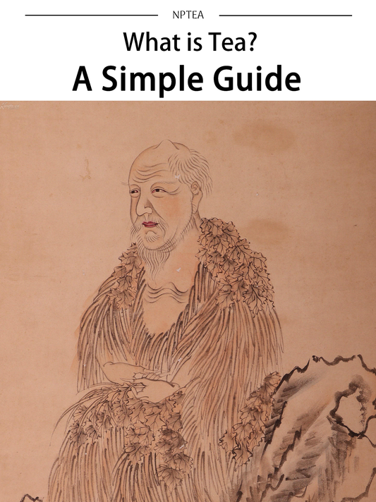 What is Tea? Your Simple Guide to Chinese Tea for Beginners