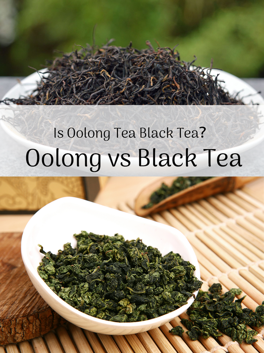 Is Oolong Tea Black Tea?