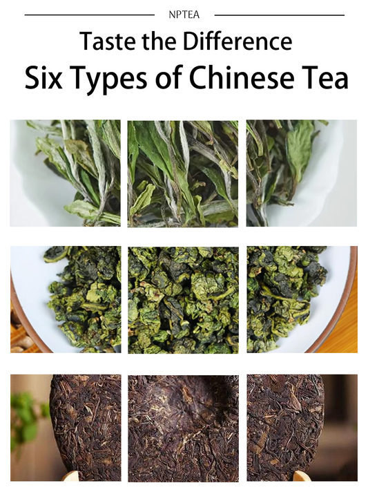 Taste the Difference: The 6 Types of Chinese Tea