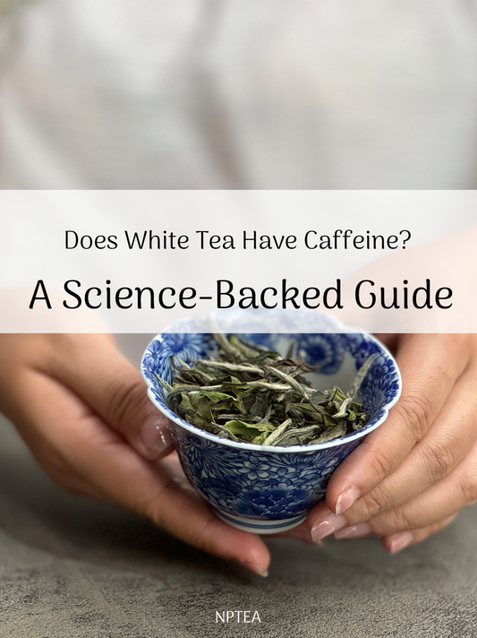 Does White Tea Have Caffeine? A Science-Backed Guide for Health-Conscious Drinkers