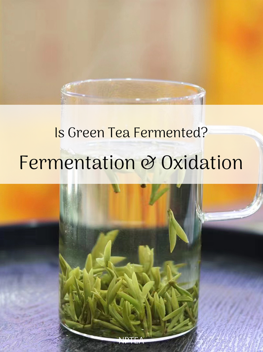 Is Green Tea Fermented? The Science Behind Its Fresh, Grassy Flavor