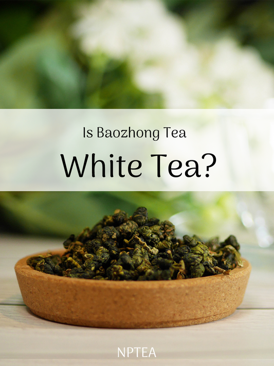 Is Baozhong Tea White Tea?