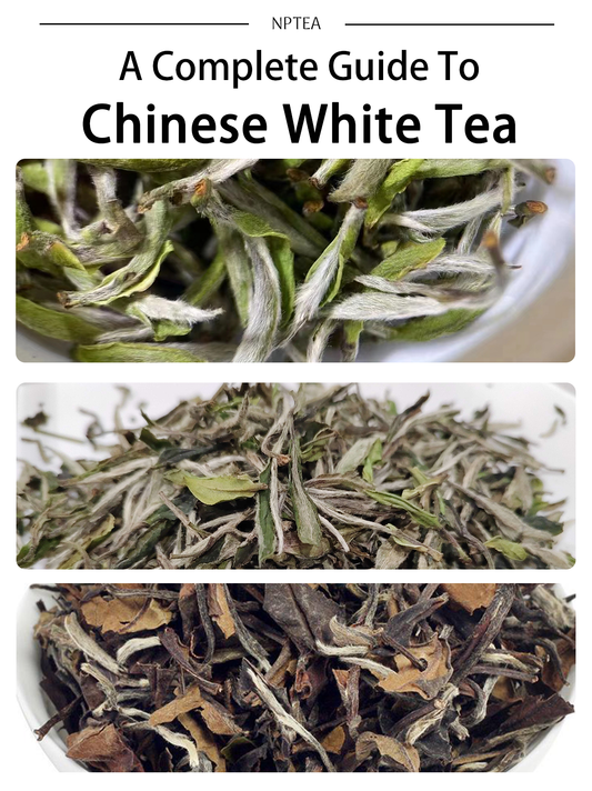 A Complete Guide to Chinese White Tea: Origins, Taste, Brewing Tips, and Health Benefits