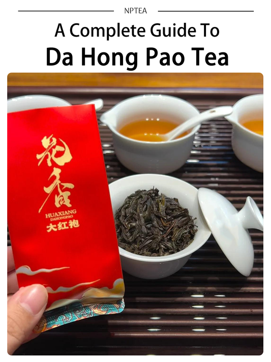 Da Hong Pao Oolong Tea: Your Complete Guide to the "Rock King" of Wuyi Mountain