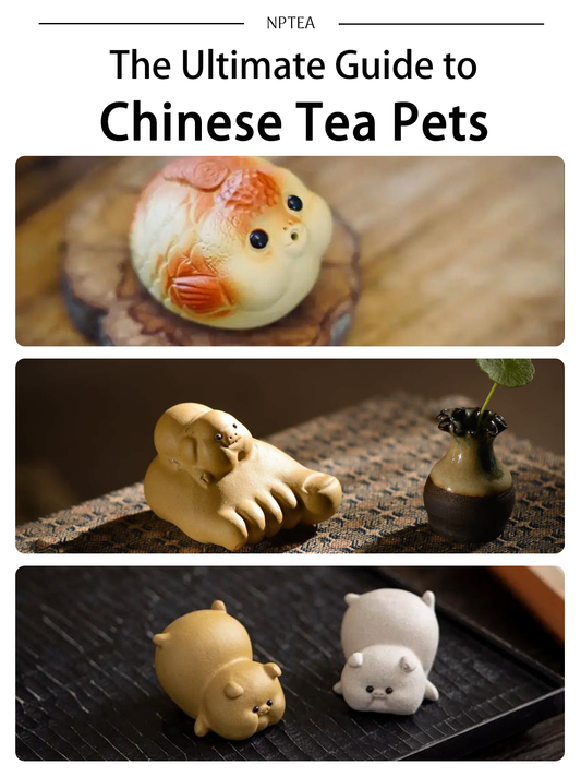 The Ultimate Guide to Chinese Tea Pets: History, Meaning & How to Use