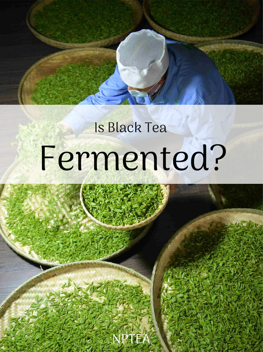 Is Black Tea Fermented?
