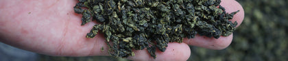 Oolong Tea