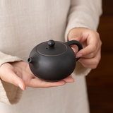 Teapot | Matte Black Pottery Gongfu Teapot Set 180ml