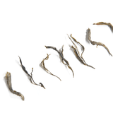 中國普洱生茶—馬鞍山