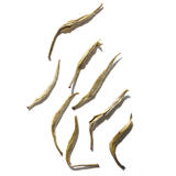 茉莉花綠茶—雪珠