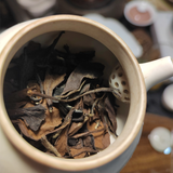 中國 2015 年陳白茶