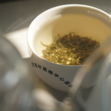 Jasmine Green Tea | Bi Tan Piao xue ( 碧潭飘雪 )
