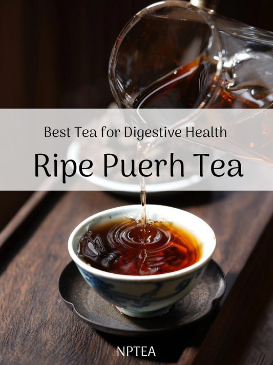 Best Tea for Digestive Health