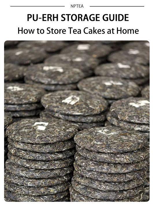 Pu-erh storage guide cover showing stacked Pu-erh tea cakes for home aging