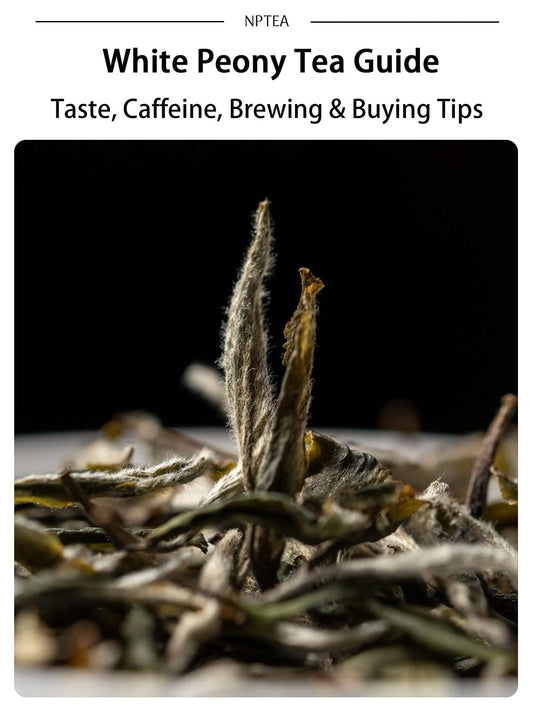 White Peony Tea Guide cover image showing Bai Mu Dan white tea leaves