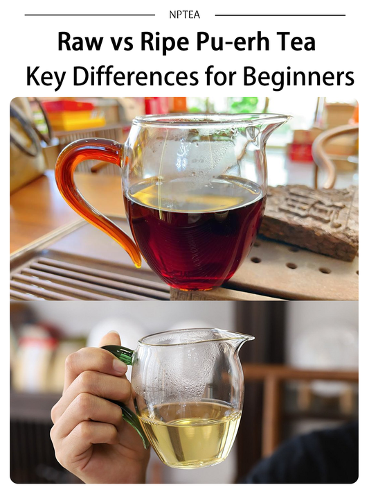 Raw vs Ripe Pu-erh Tea: Key Differences for Beginners