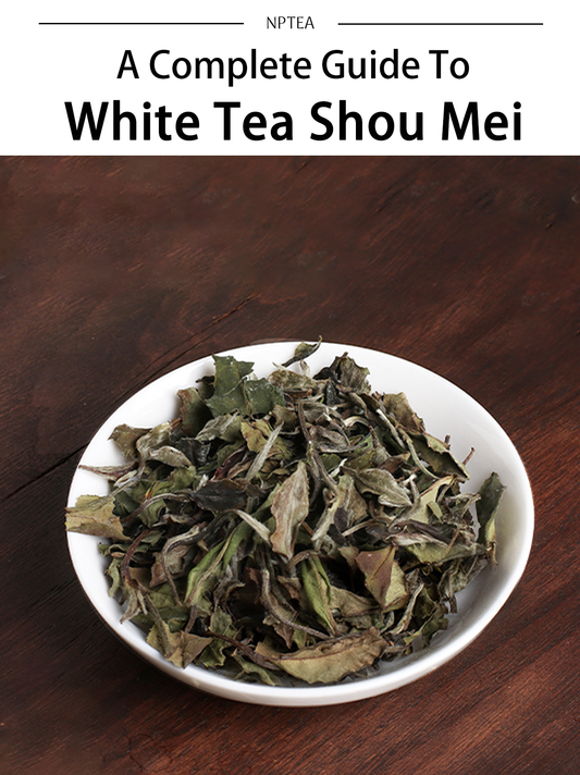 A Complete Guide to White Tea Fuding Shou Mei: Origins, Taste, Brewing Tips, and Health Benefits