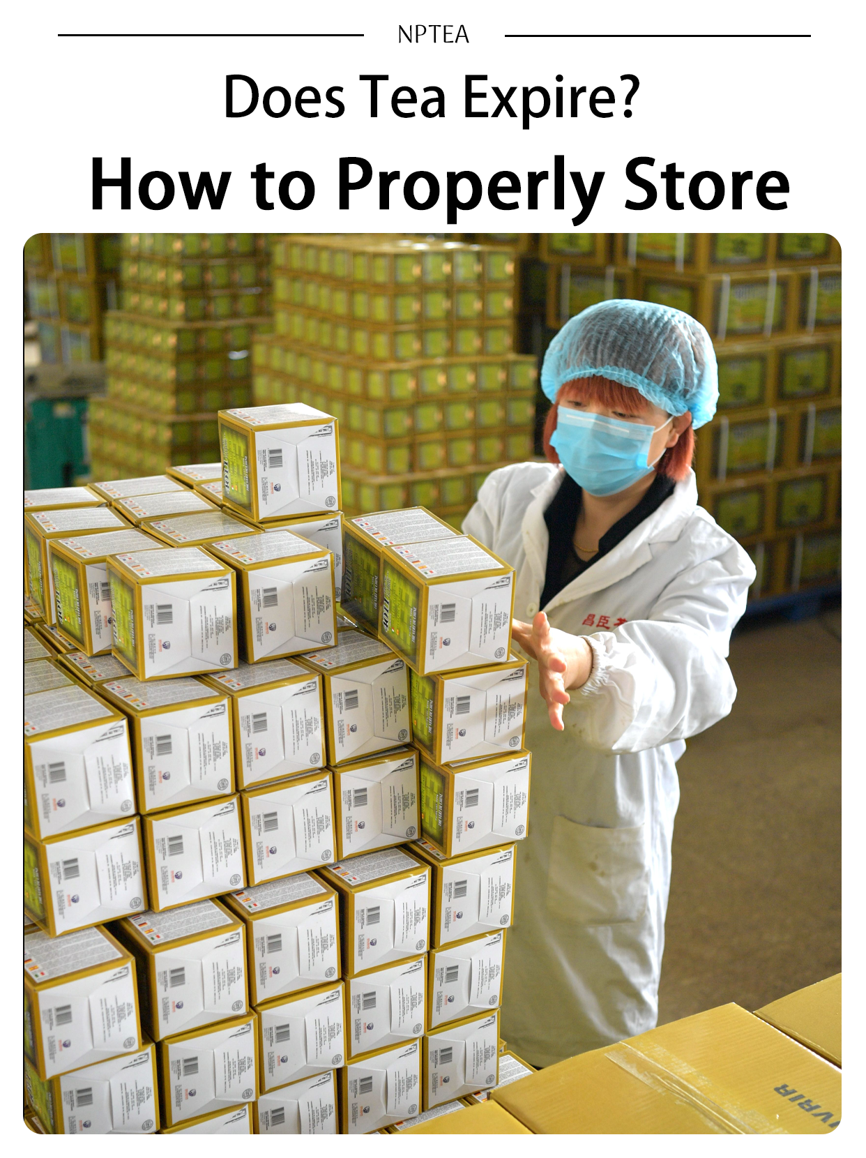 Does Tea Expire? How to Properly Store Your Tea – NPTEA