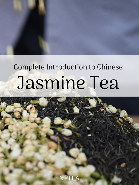 The complete introduction of Chinese Jasmine Tea and Jasmine tea benefits