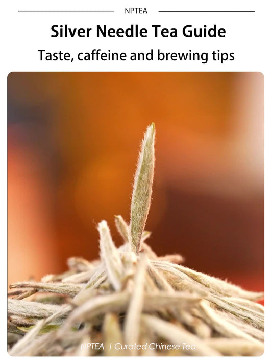 Silver Needle tea guide cover with Bai Hao Yin Zhen white tea buds