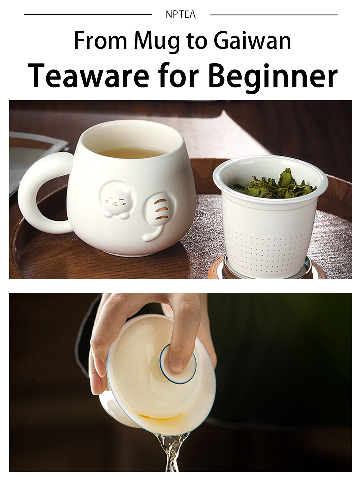 From Mug to Gaiwan: Beginner's Chinese Teaware Guide – NPTEA