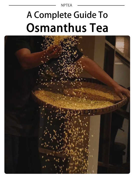 Osmanthus Tea: A Fragrant Chinese Floral Tea and Complete Guide ｜NPTEA