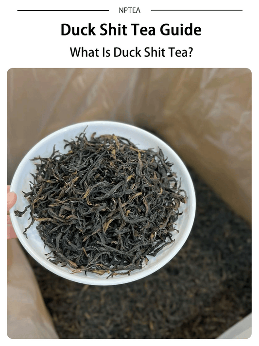 Duck Shit Tea guide cover showing dry Ya Shi Xiang Phoenix Dan Cong oolong tea leaves