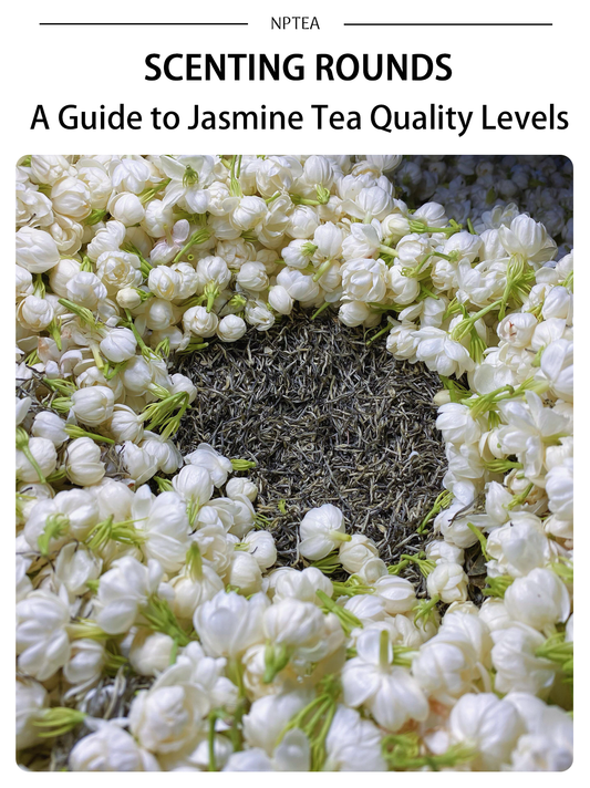 Scenting Rounds in Tea: The Secret Behind Authentic Chinese Jasmine Green Tea