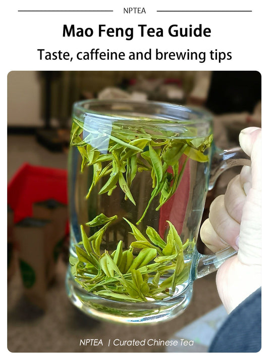 Mao Feng tea guide cover with brewed Huangshan Mao Feng green tea in a glass cup