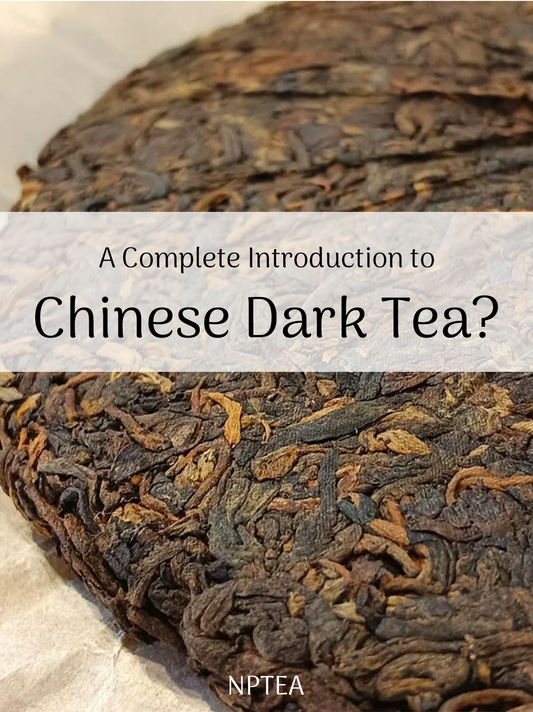 What is Dark Tea?