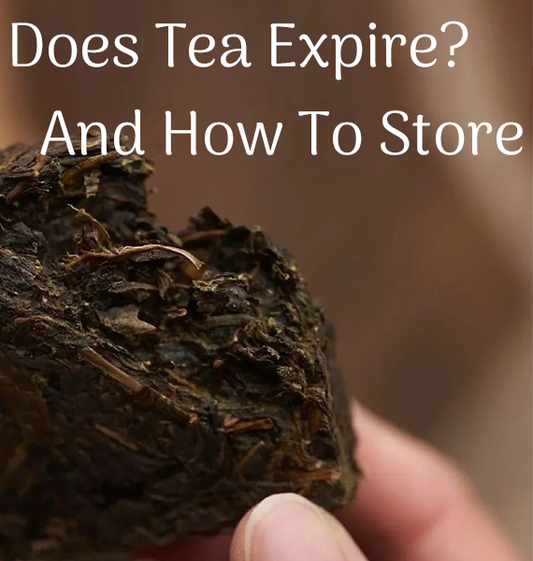 Does Tea Expire? How to Properly Store Your Tea