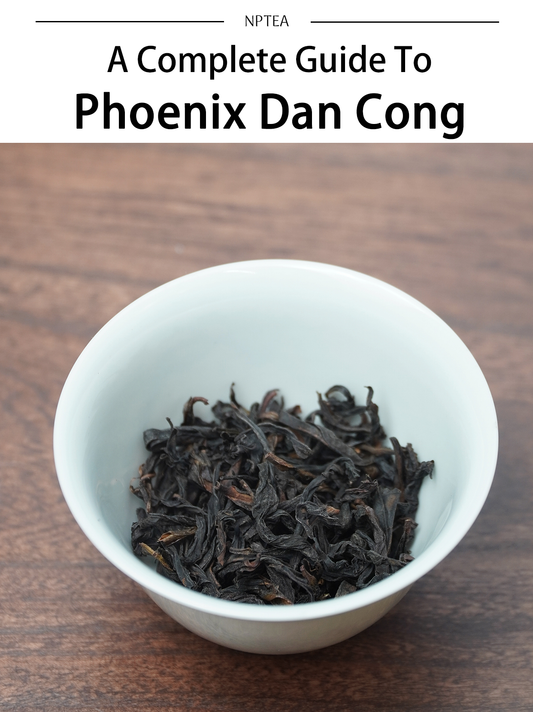 A Complete Guide to Phoenix Dan Cong