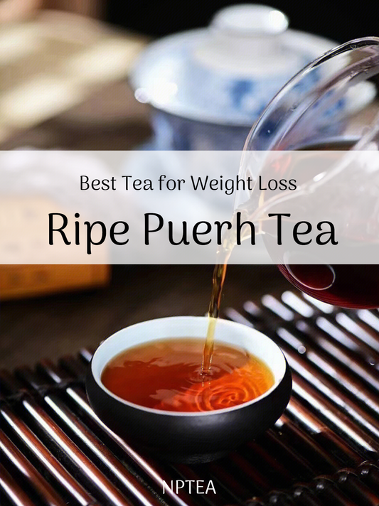 Best Tea for Weight Loss