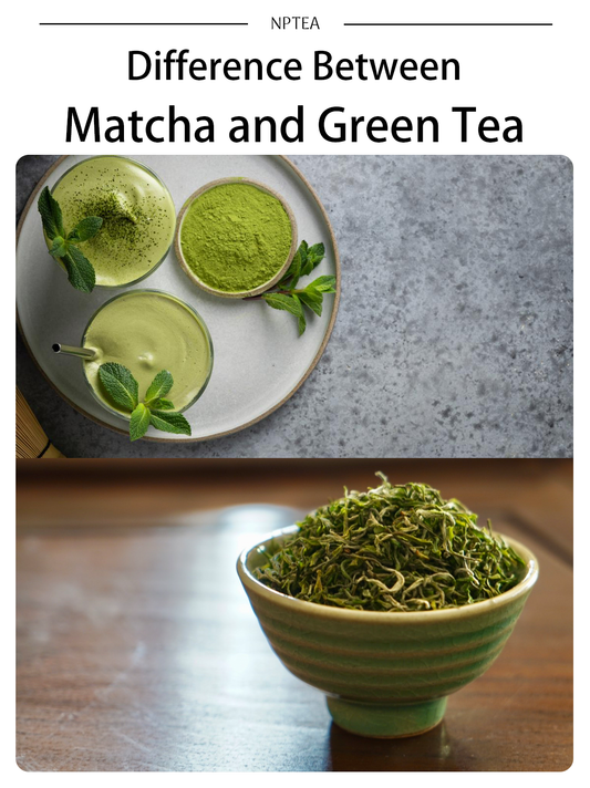 Difference Between Matcha and Green Tea | Flavor, Caffeine & Brewing Explained