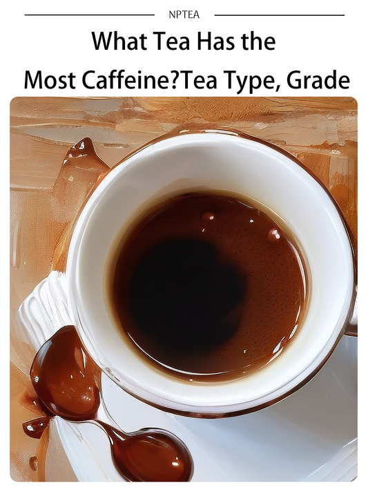 What Tea Has the Most Caffeine? How Tea Type, Leaf Grade, and Brewing Really Matter
