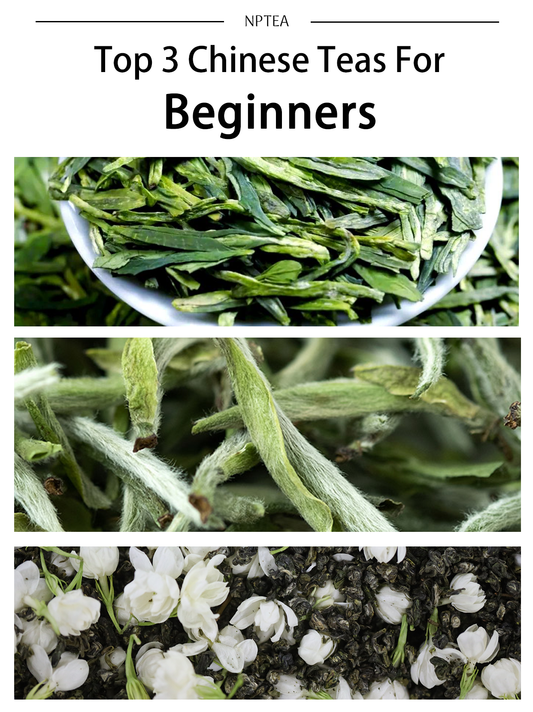 Top 3 Chinese Teas for Beginners (Sweet and Smooth)