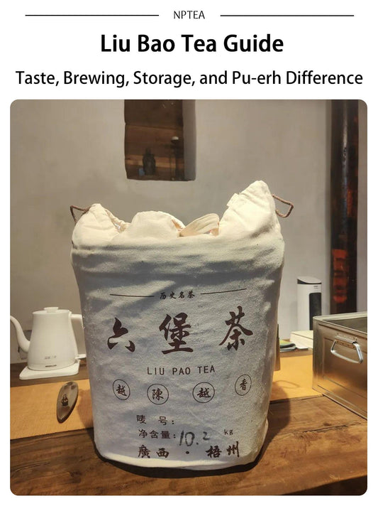 Liu Bao tea guide cover showing a traditional Guangxi Liu Bao tea package