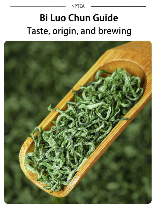 Bi Luo Chun green tea guide cover showing curled Chinese green tea leaves