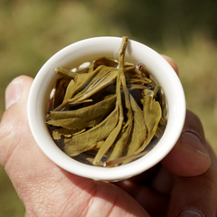 Chinese  Raw Puerh Tea—MaAnShan