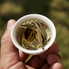 Chinese White Tea-Moonlight Beauty