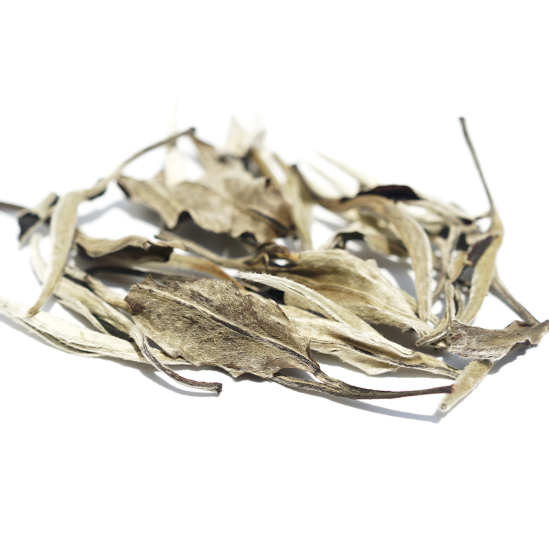 Chinese White Tea-Moonlight Beauty