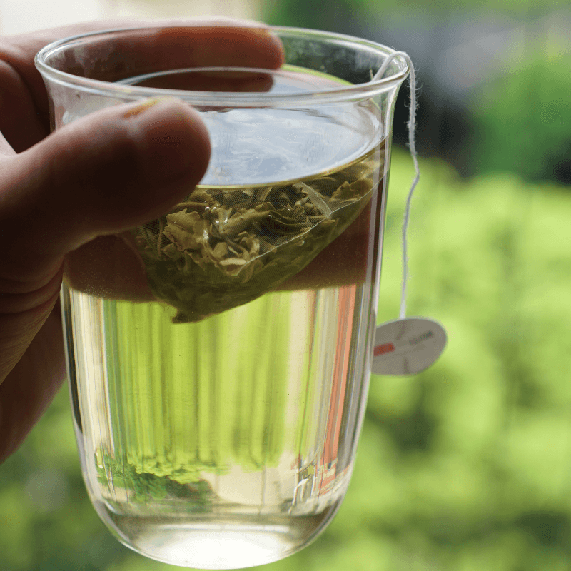 Chinese Jasmine Green Tea Bags—MoLv