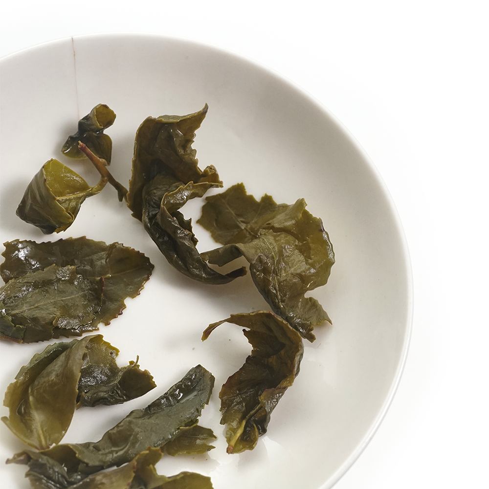 High quality wet leaves of best oolong tea after brewing