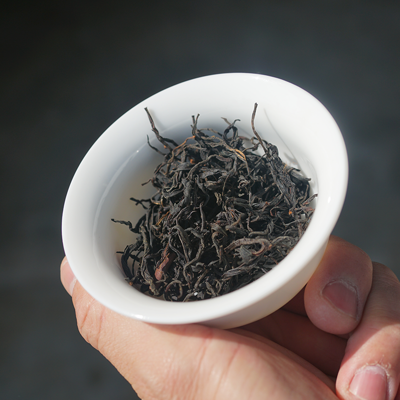 Close-up of Black Beauty Dianhong Black Tea dry leaves - artisanal handcrafted Yunnan black tea.