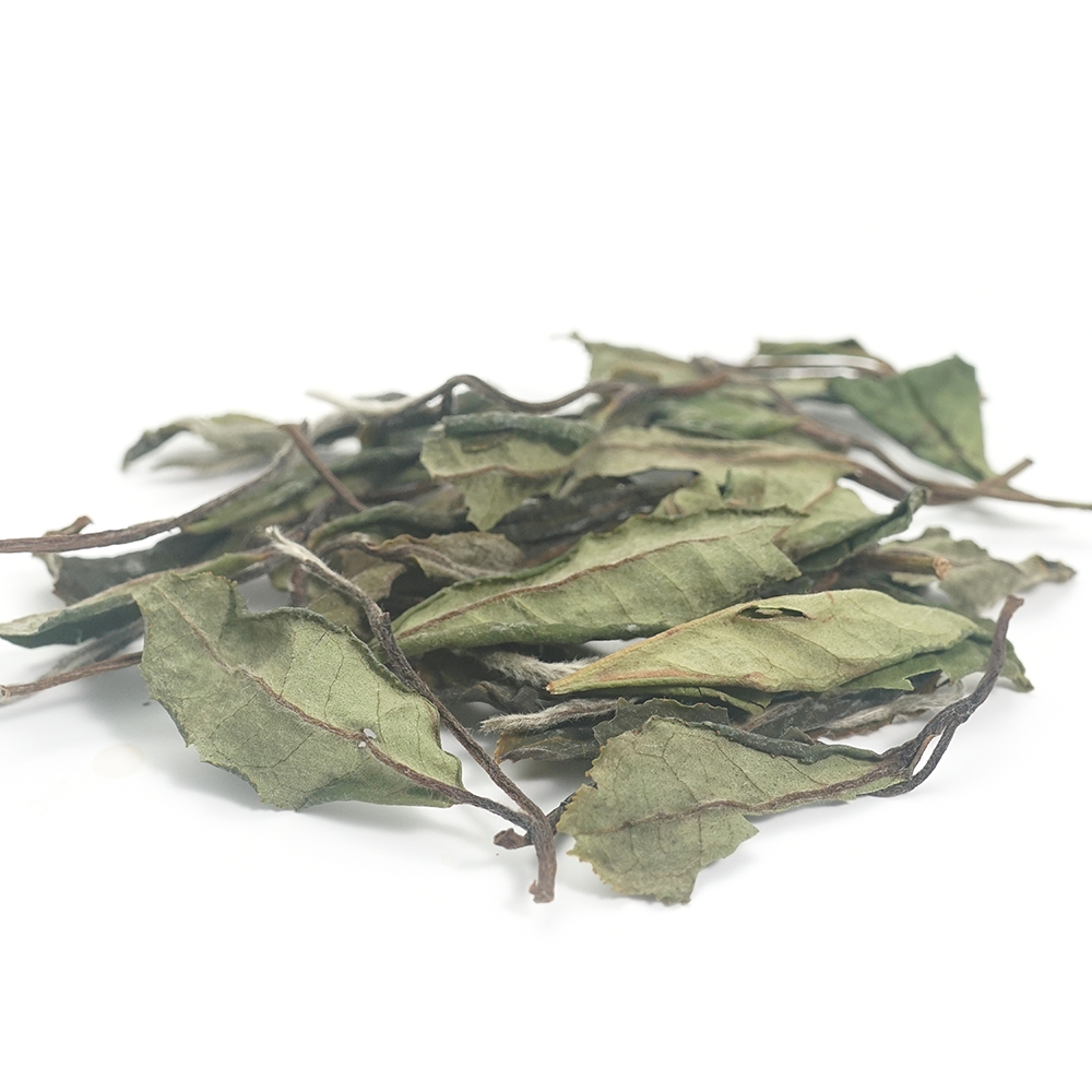 2025 Herbal-Woody Shou Mei White Tea (Shou Mei)