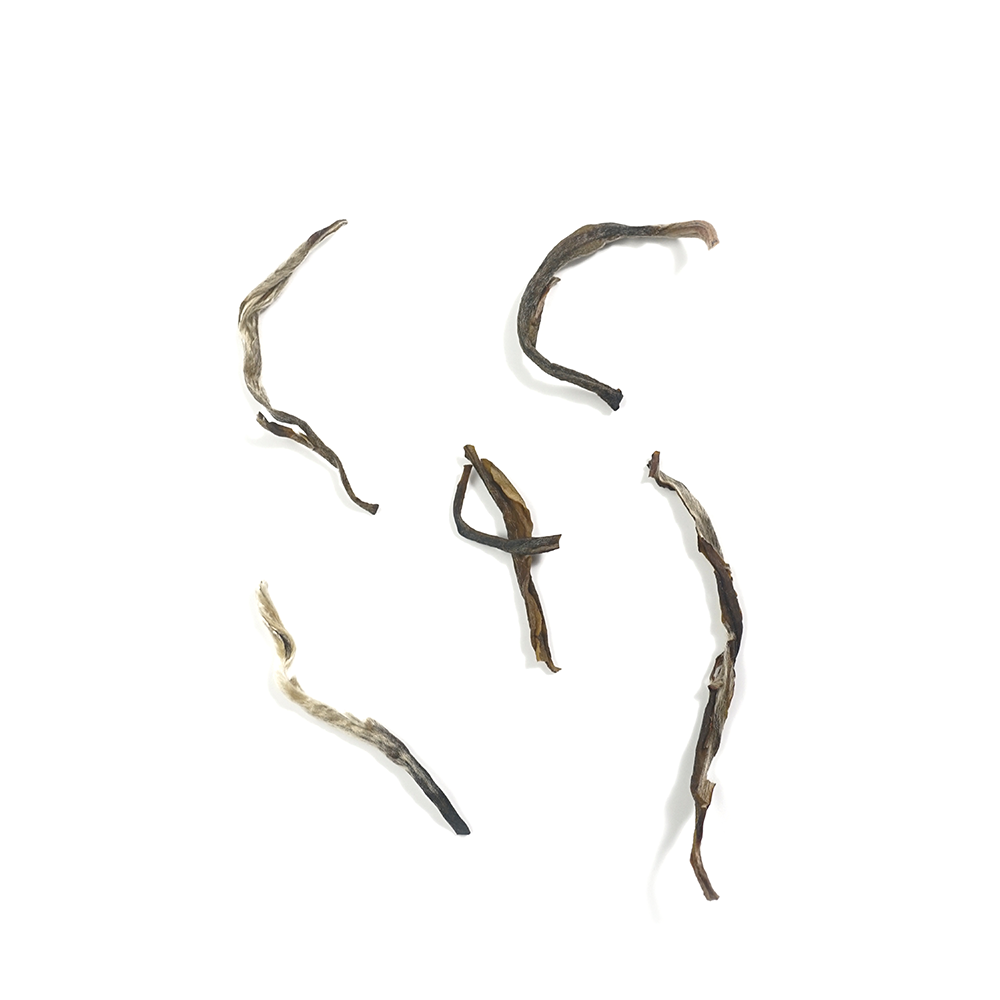 Infused Green Tea Leaves and Jasmine Flowers - Tender Tea Buds After Brewing Traditional Jasmine Tea