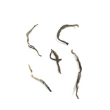 Infused Green Tea Leaves and Jasmine Flowers - Tender Tea Buds After Brewing Traditional Jasmine Tea