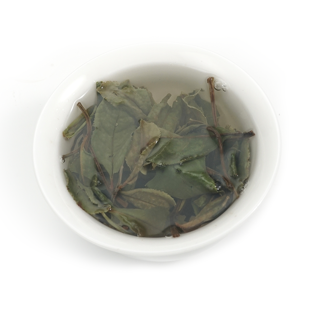 Translucent and pale yellow tea infusion of Shou Mei White Tea showing its fresh herbal-woody character.