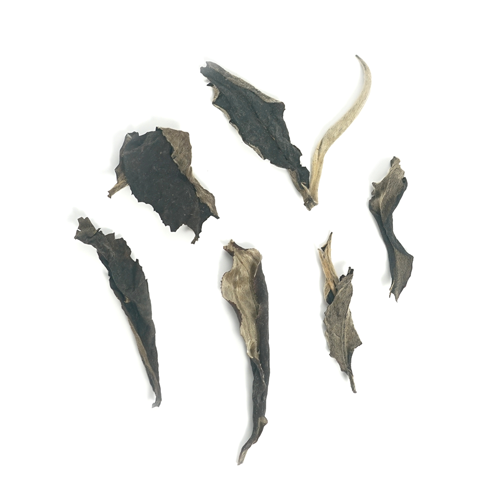 High-quality 2015 Aged White Tea (Yue Guang Bai) dry leaves from Jinggu, Yunnan with silver down.
