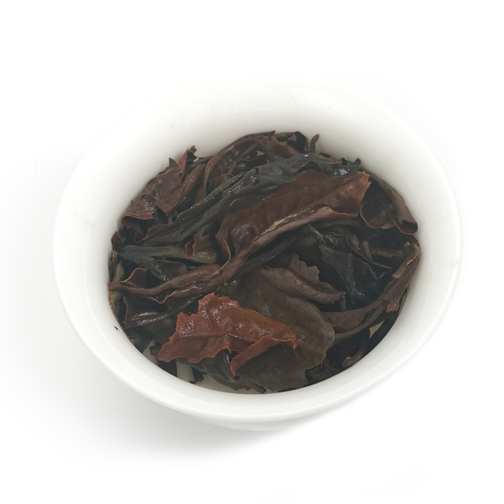 Close-up of 2015 Moonlight White tea wet leaves after steeping, displaying exceptional leaf integrity.